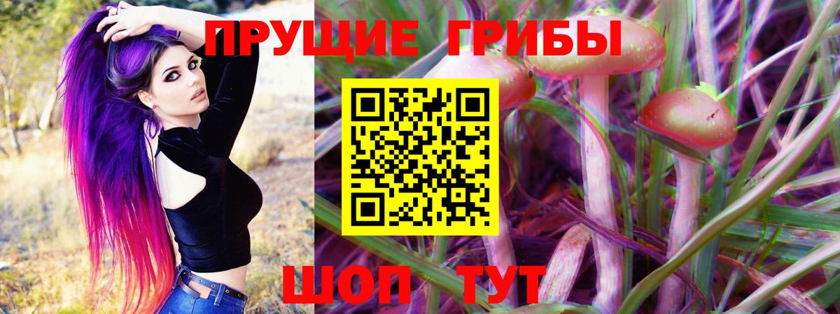 Псилоцибиновые грибы Psilocybe Звенигород