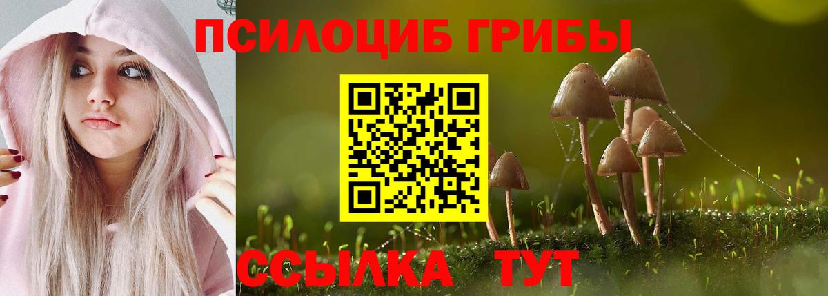 Псилоцибиновые грибы мицелий  Вход с VPN  Галлюциногенные грибы Psilocybine cubensis  Звенигород 